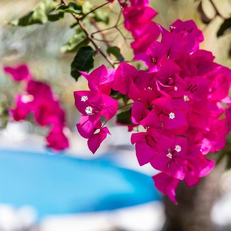 Vila Balaia - Luxury Boutique Villas Albufeira Eksteriør bilde